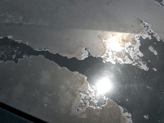 2G2WP552261241279 - 2006 PONTIAC GRAND PRIX BLACK photo 9