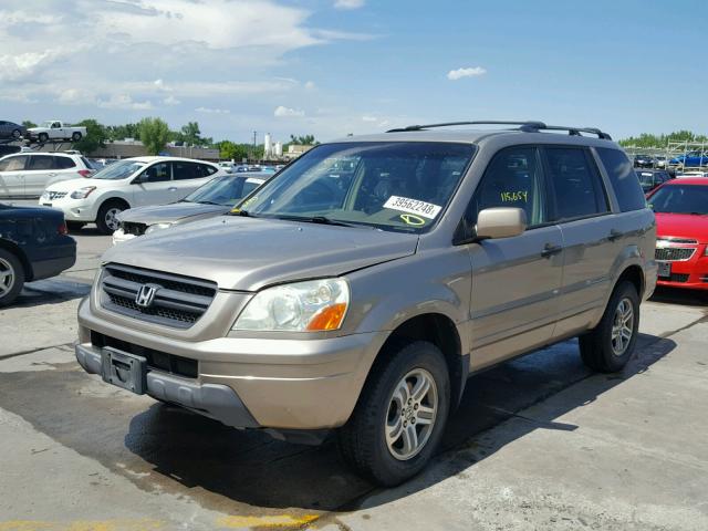 2HKYF18424H613082 - 2004 HONDA PILOT EX GOLD photo 2