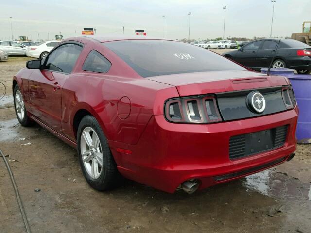 1ZVBP8AM2E5320142 - 2014 FORD MUSTANG RED photo 3