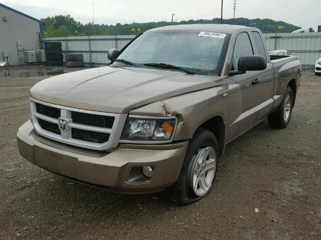 1D7CE3BP8AS104516 - 2010 DODGE DAKOTA SXT BEIGE photo 2