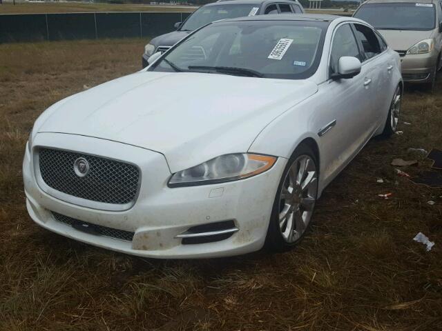 SAJWA2GZ6F8V79126 - 2015 JAGUAR XJL PORTFO WHITE photo 2