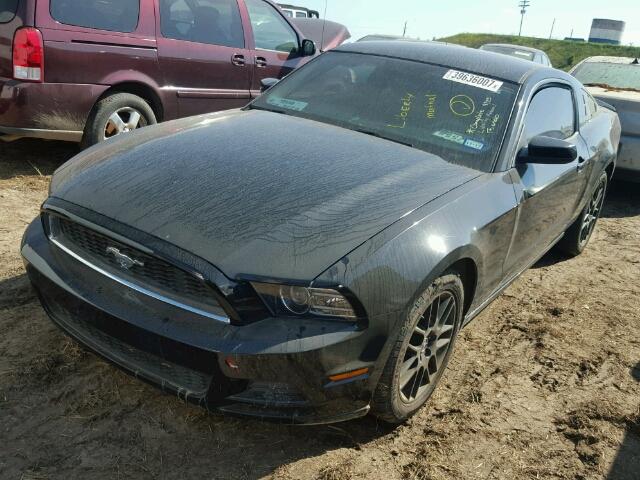 1ZVBP8AM5E5326646 - 2014 FORD MUSTANG BLACK photo 2