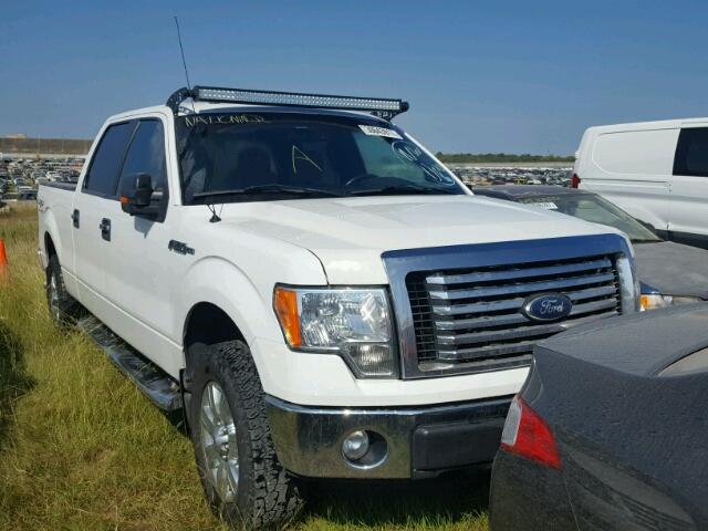 1FTFW1EF1CFB55170 - 2012 FORD F150 WHITE photo 1