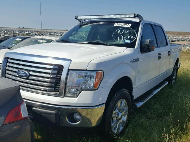 1FTFW1EF1CFB55170 - 2012 FORD F150 WHITE photo 2