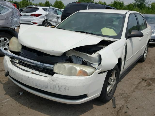 1G1ZT52815F337157 - 2005 CHEVROLET MALIBU LS Ақ фото 2