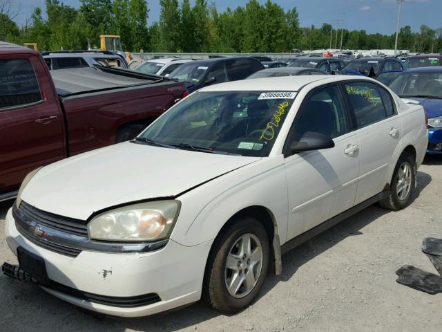 1G1ZT52895F254723 - 2005 CHEVROLET MALIBU LS 白色 照片 2