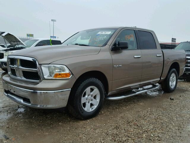 1D7RB1CP2AS117266 - 2010 DODGE RAM 1500 BROWN photo 2