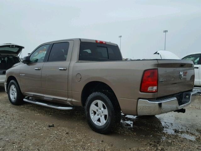 1D7RB1CP2AS117266 - 2010 DODGE RAM 1500 BROWN photo 3