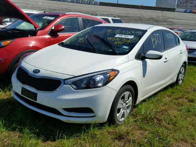 KNAFK4A62G5608448 - 2016 KIA FORTE WHITE photo 2