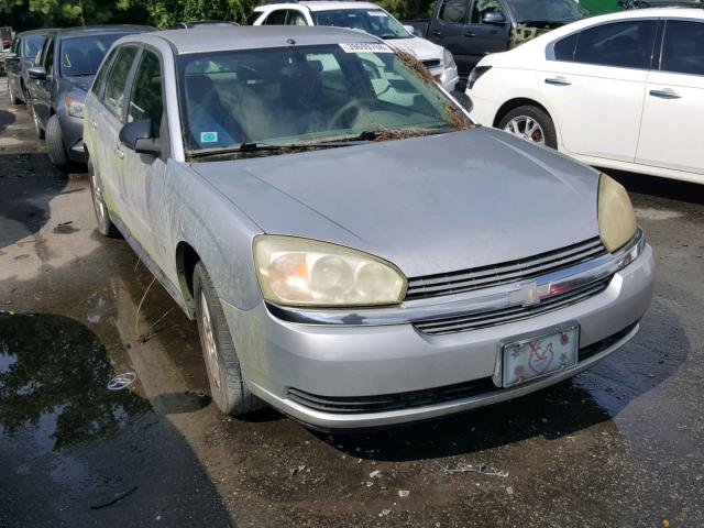 1G1ZT64894F243285 - 2004 CHEVROLET MALIBU MAX SILVER photo 1