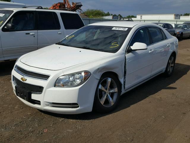 1G1ZC5E1XBF317368 - 2011 CHEVROLET MALIBU 1LT 白色 照片 2