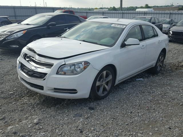 1G1ZC5EUXBF378777 - 2011 CHEVROLET MALIBU 1LT 白色 照片 2