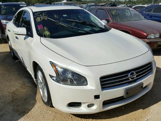 1N4AA5APXAC848578 - 2010 NISSAN MAXIMA WHITE photo 1