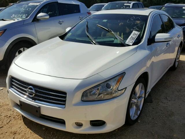 1N4AA5APXAC848578 - 2010 NISSAN MAXIMA WHITE photo 2