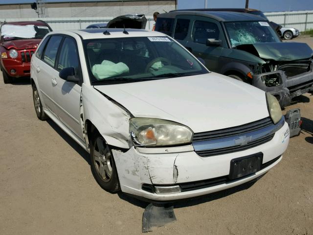 1G1ZU64834F170864 - 2004 CHEVROLET MALIBU MAX თეთრი ფოტო 1