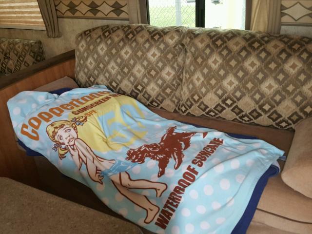 4YDT29127BT412443 - 2011 PASSPORT TRAVELTRLR WHITE photo 6