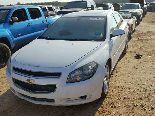 1G1ZD5E75BF300964 - 2011 CHEVROLET MALIBU WHITE photo 2