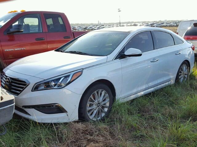 5NPE34AF4FH105286 - 2015 HYUNDAI SONATA WHITE photo 2