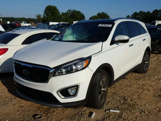 5XYPH4A57GG148045 - 2016 KIA SORENTO EX WHITE photo 2