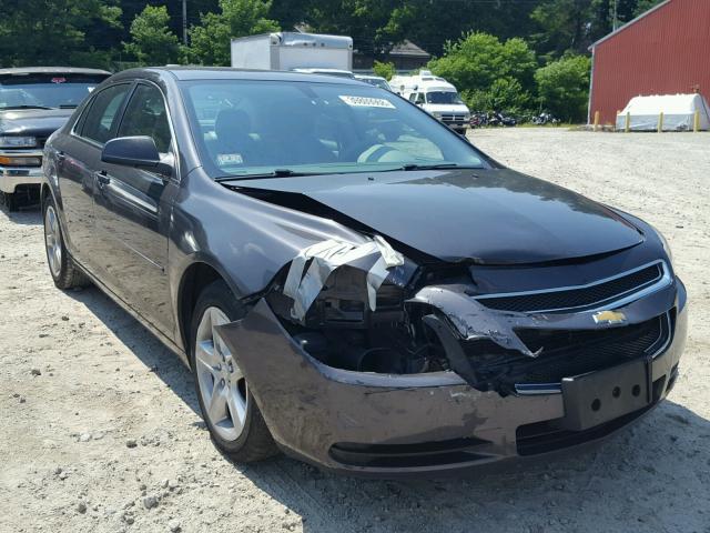 1G1ZB5E02CF335438 - 2012 CHEVROLET MALIBU LS GRAY photo 1