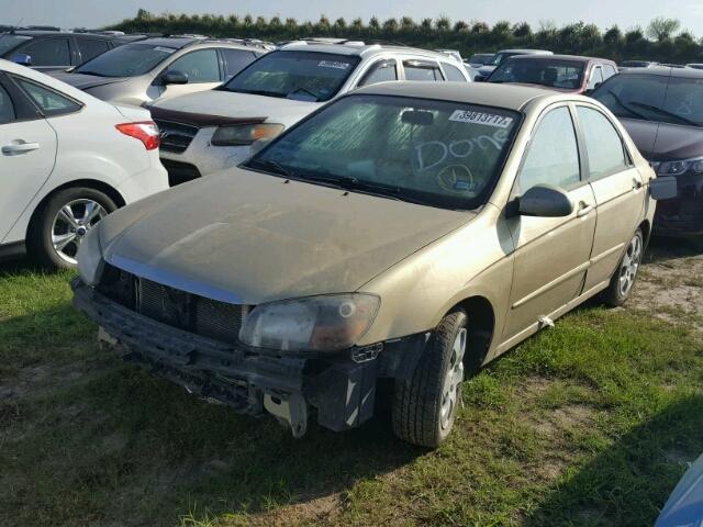 KNAFE221495656311 - 2009 KIA SPECTRA EX GOLD photo 2