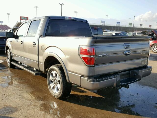 1FTEW1C80AKE26059 - 2010 FORD F150 SUPER GRAY photo 3