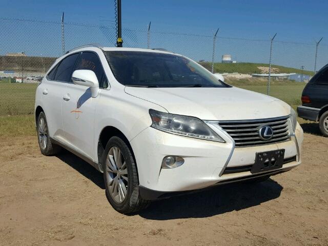 2T2ZK1BA7DC113142 - 2013 LEXUS RX WHITE photo 1