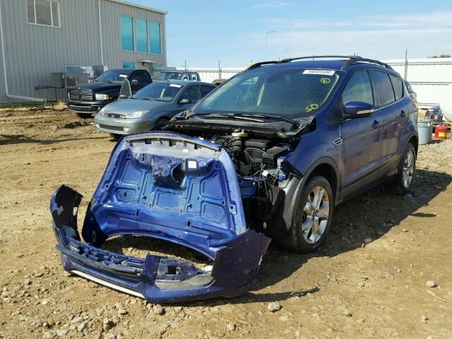 1FMCU9H94DUA56347 - 2013 FORD ESCAPE SEL BLUE photo 2