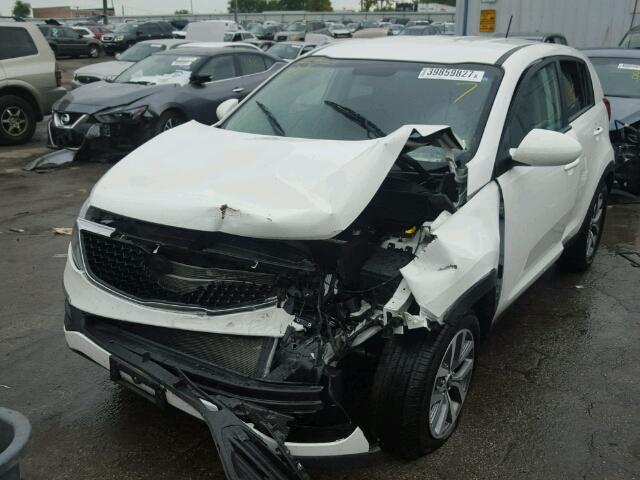 KNDPB3AC3G7878963 - 2016 KIA SPORTAGE L WHITE photo 2