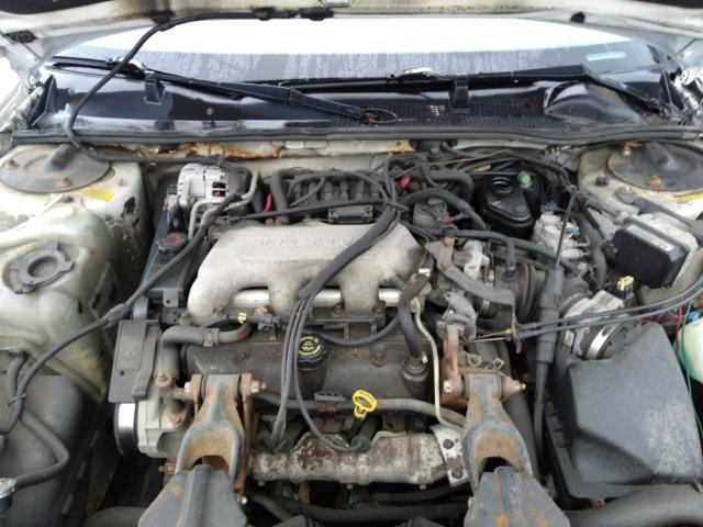 2G1WL52M8W9196856 - 1998 CHEVROLET LUMINA BAS თეთრი ფოტო 7