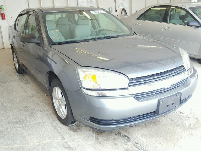 1G1ZT52874F231584 - 2004 CHEVROLET MALIBU LS GRAY photo 1