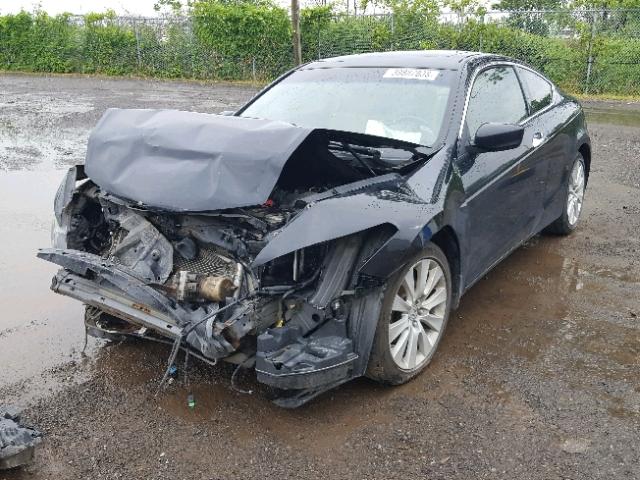 1HGCS22898A800177 - 2008 HONDA ACCORD EXL BLACK photo 2