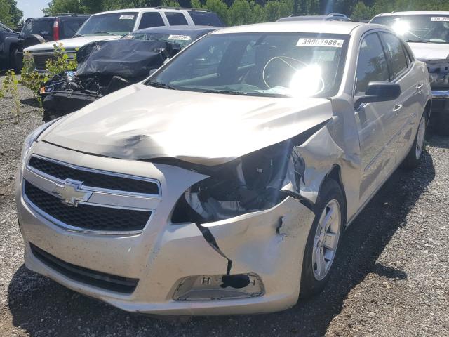 1G11B5SA1DF253227 - 2013 CHEVROLET MALIBU LS GOLD photo 2