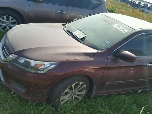 1HGCR2F59EA277783 - 2014 HONDA ACCORD MAROON photo 9