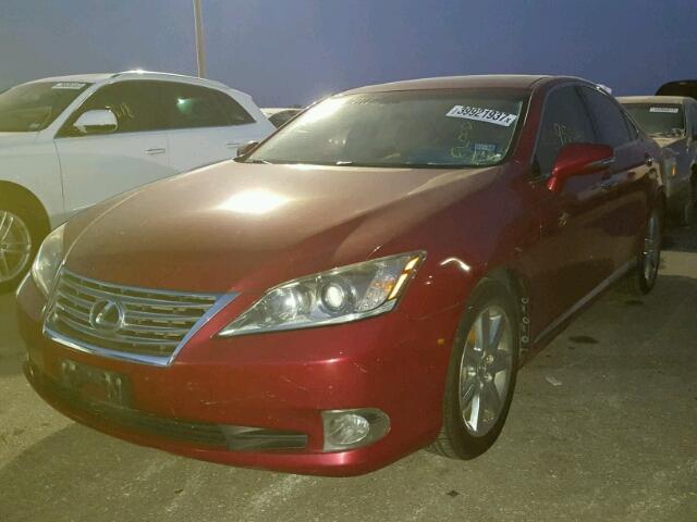 JTHBK1EG6A2353751 - 2010 LEXUS ES 350 BURGUNDY photo 2