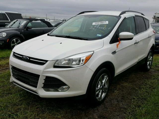 1FMCU0GX0EUD31323 - 2014 FORD ESCAPE WHITE photo 2