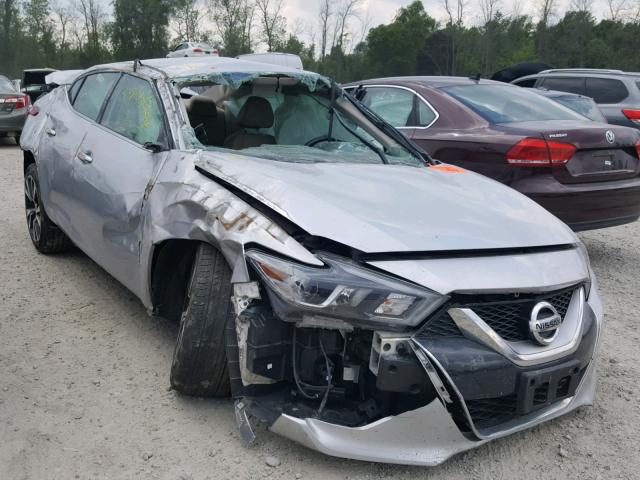 1N4AA6AP6HC426159 - 2017 NISSAN MAXIMA 3.5 SILVER photo 1