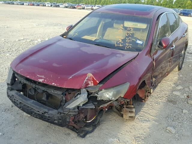 5J6TF1H36AL005536 - 2010 HONDA ACCORD CRO MAROON photo 2