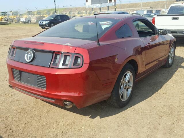 1ZVBP8AM9E5290444 - 2014 FORD MUSTANG RED photo 4