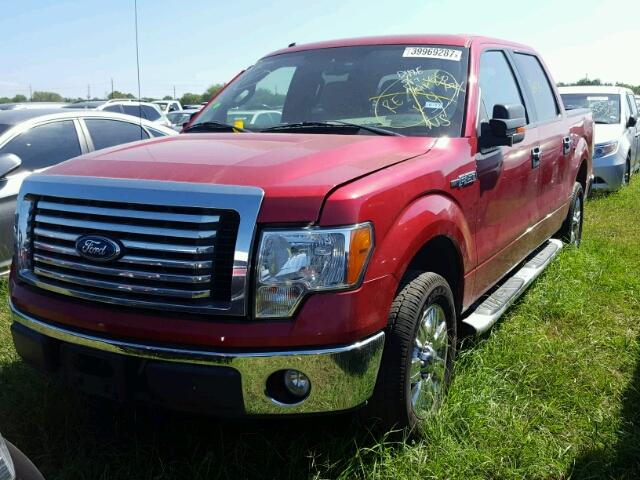 1FTEW1C89AFD54920 - 2010 FORD F150 RED photo 2