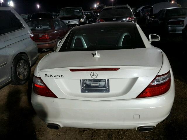 WDDPK4HA8DF066172 - 2013 MERCEDES-BENZ SLK WHITE photo 6