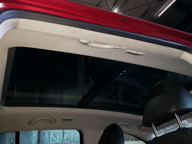 WVGBV7AX1AW003837 - 2010 VOLKSWAGEN TIGUAN SE 栗色 照片 9