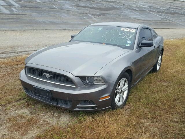 1ZVBP8AM6E5224157 - 2014 FORD MUSTANG GRAY photo 2