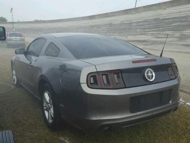 1ZVBP8AM6E5224157 - 2014 FORD MUSTANG GRAY photo 3