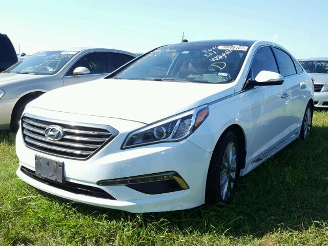 5NPE34AF3FH012078 - 2015 HYUNDAI SONATA WHITE photo 2