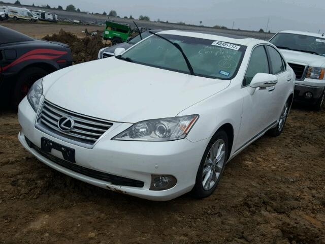 JTHBK1EG2A2344352 - 2010 LEXUS ES WHITE photo 2