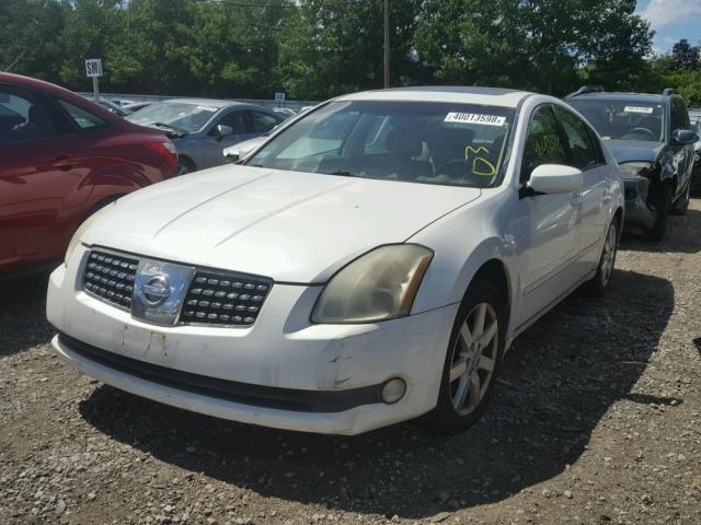 1N4BA41E64C829530 - 2004 NISSAN MAXIMA SE WHITE photo 2