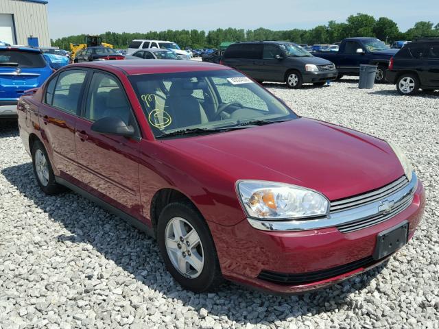 1G1ZT52845F280601 - 2005 CHEVROLET MALIBU LS MAROON photo 1