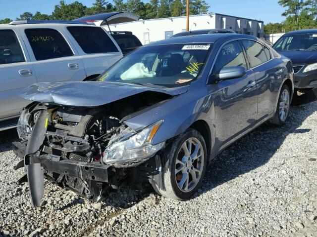 1N4AA5AP4CC816390 - 2012 NISSAN MAXIMA BLUE photo 2