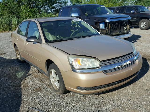 1G1ZT52835F200849 - 2005 CHEVROLET MALIBU LS 金色 照片 1